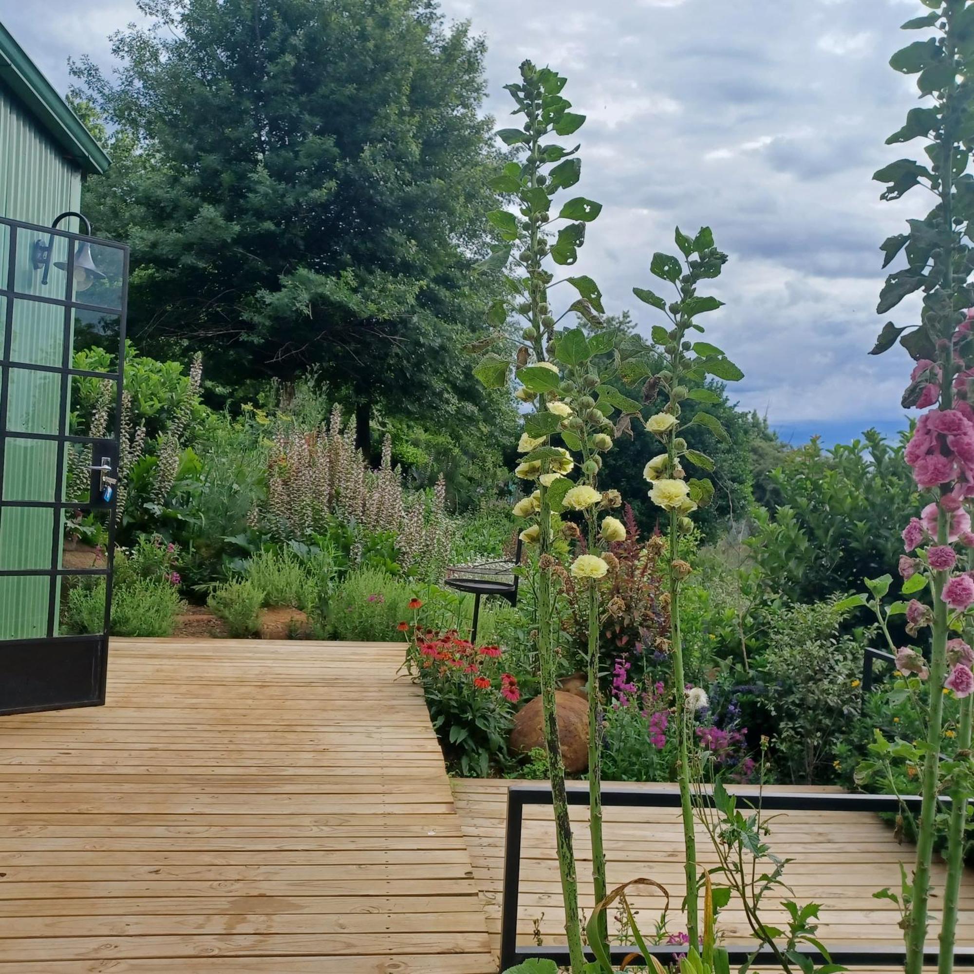 Little Fields Country House And Cottages Howick Εξωτερικό φωτογραφία