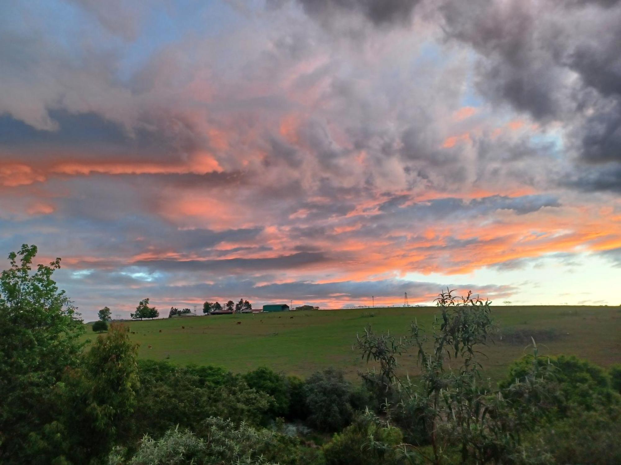 Little Fields Country House And Cottages Howick Εξωτερικό φωτογραφία