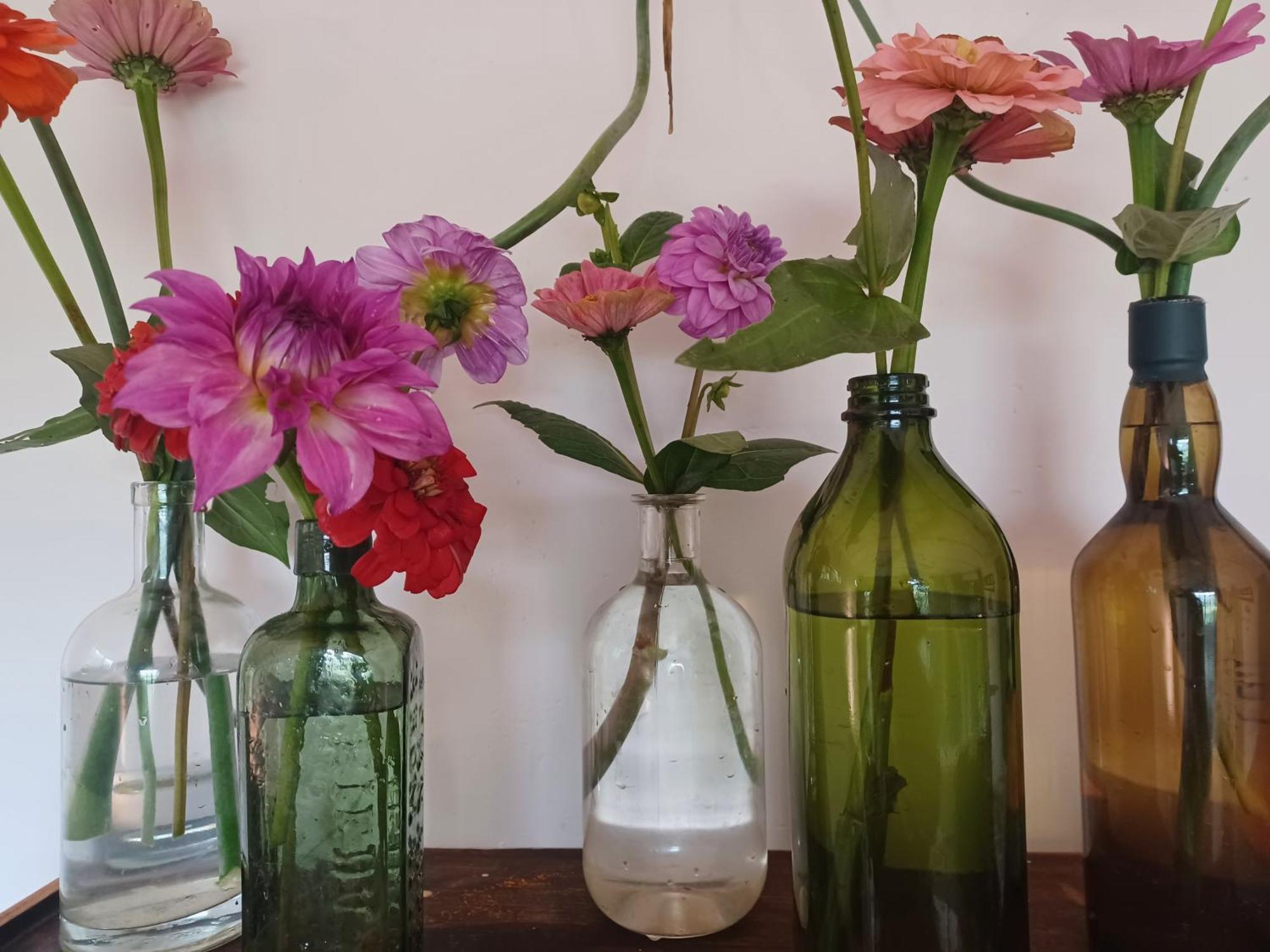 Little Fields Country House And Cottages Howick Εξωτερικό φωτογραφία