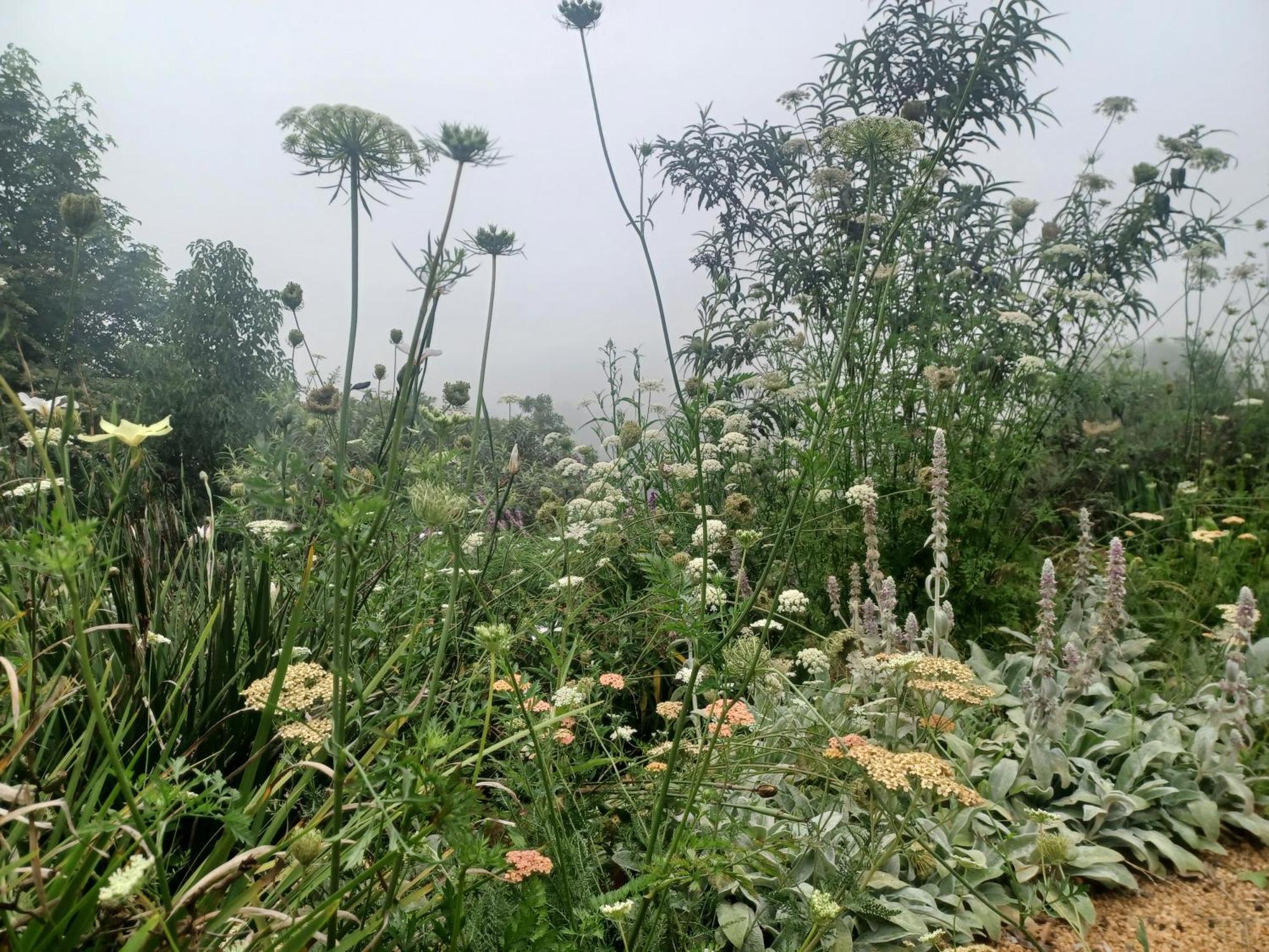 Little Fields Country House And Cottages Howick Εξωτερικό φωτογραφία